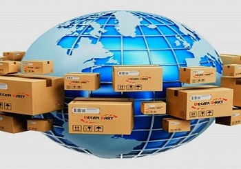 International Courier Services 